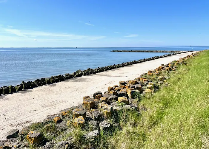 Apartamento Living *