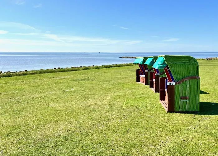 Living Apartamento *