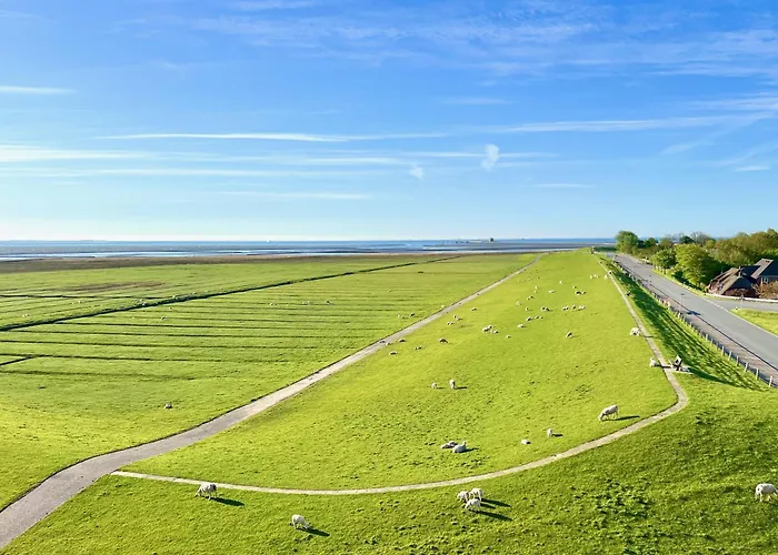 Apartamento Living *