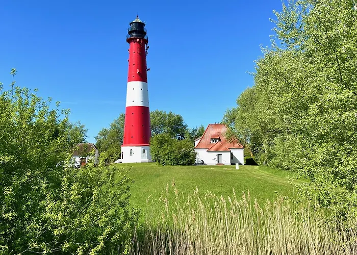 Living Apartamento *